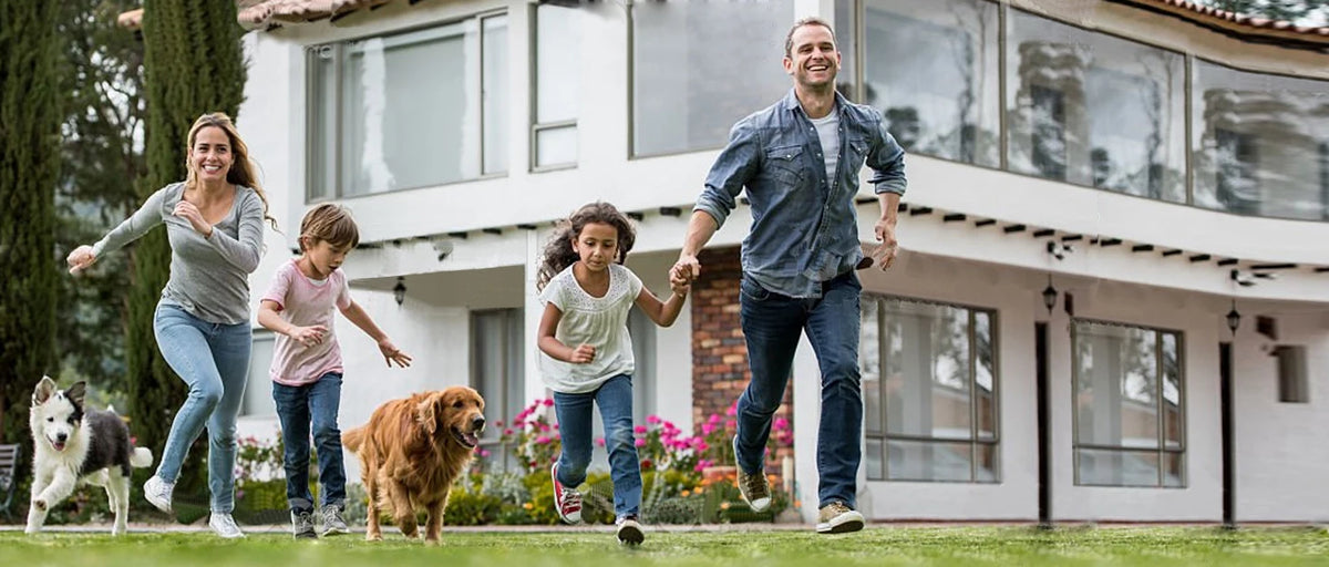 A family of four is running outdoors with a dog in a sunny, residential setting.