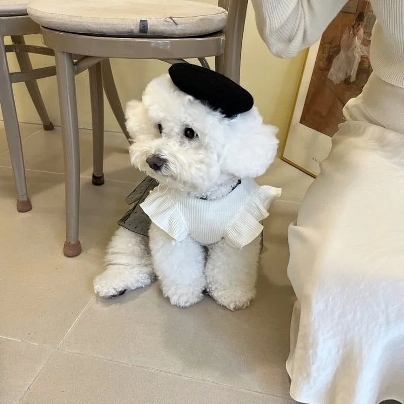 A fluffy white dog dressed in an elegant lace bow outfit sitting on a floor.