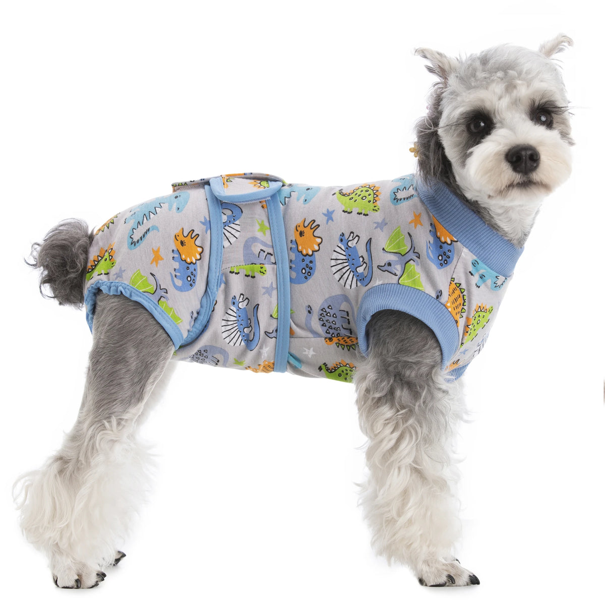 Un petit chien duveteux portant une combinaison de sauvetage bleue et jaune à motifs.