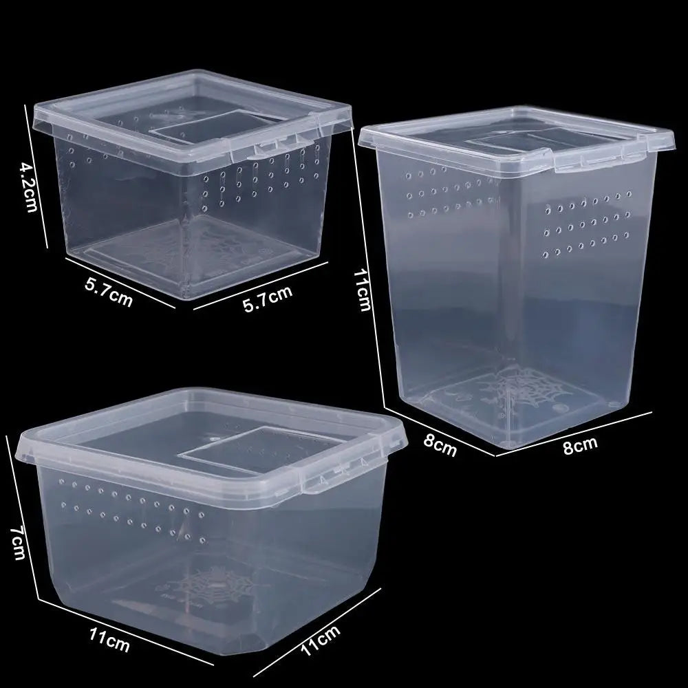 Three clear plastic reptile habitat boxes of varying sizes shown with dimensions.