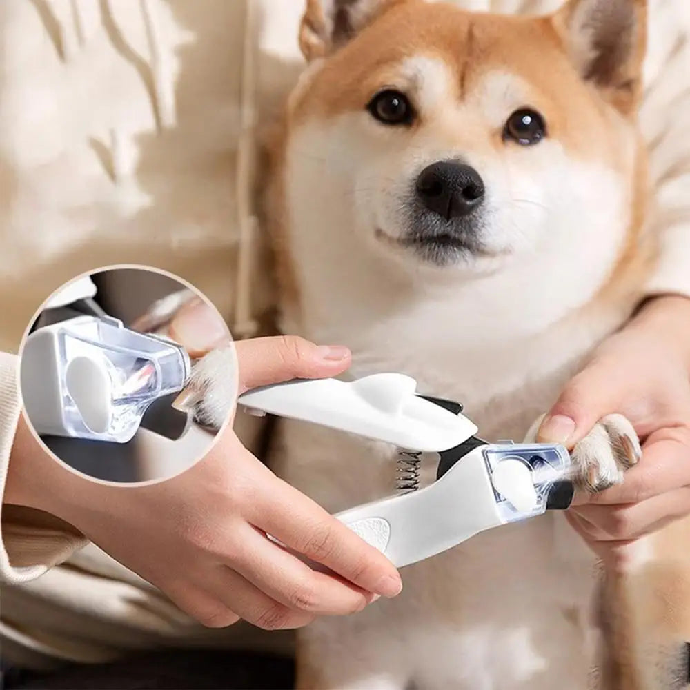 A person is using a white professional LED pet nail clipper on a dog's paw.