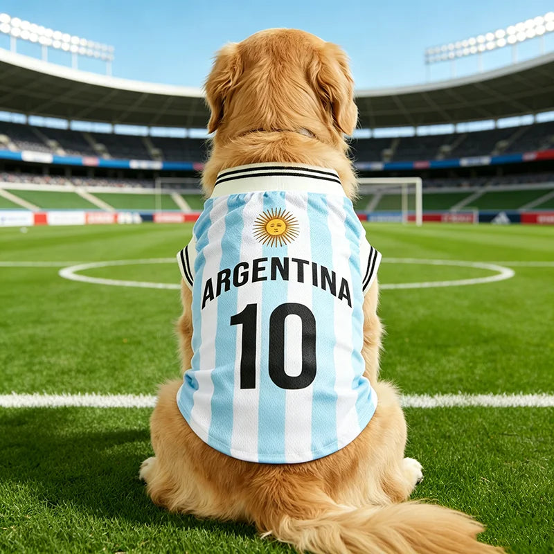 Un chien doré portant un maillot de football argentin numéro 10, assis sur un terrain vert.