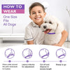 A boy is shown demonstrating how to wear a natural pet calming collar for dogs.