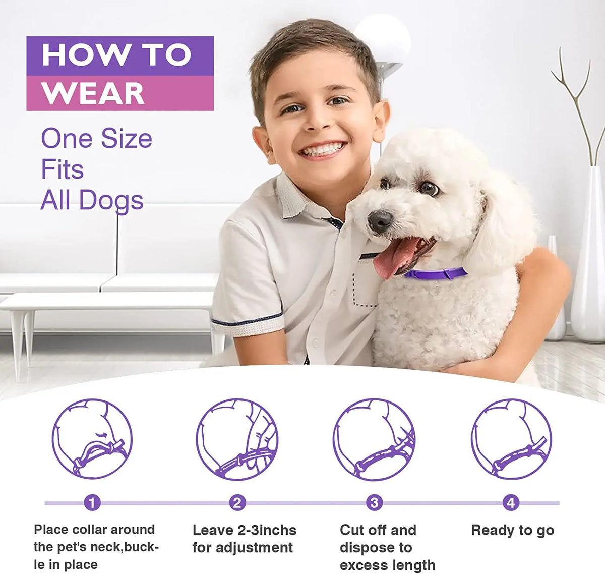 A boy is shown demonstrating how to wear a natural pet calming collar for dogs.