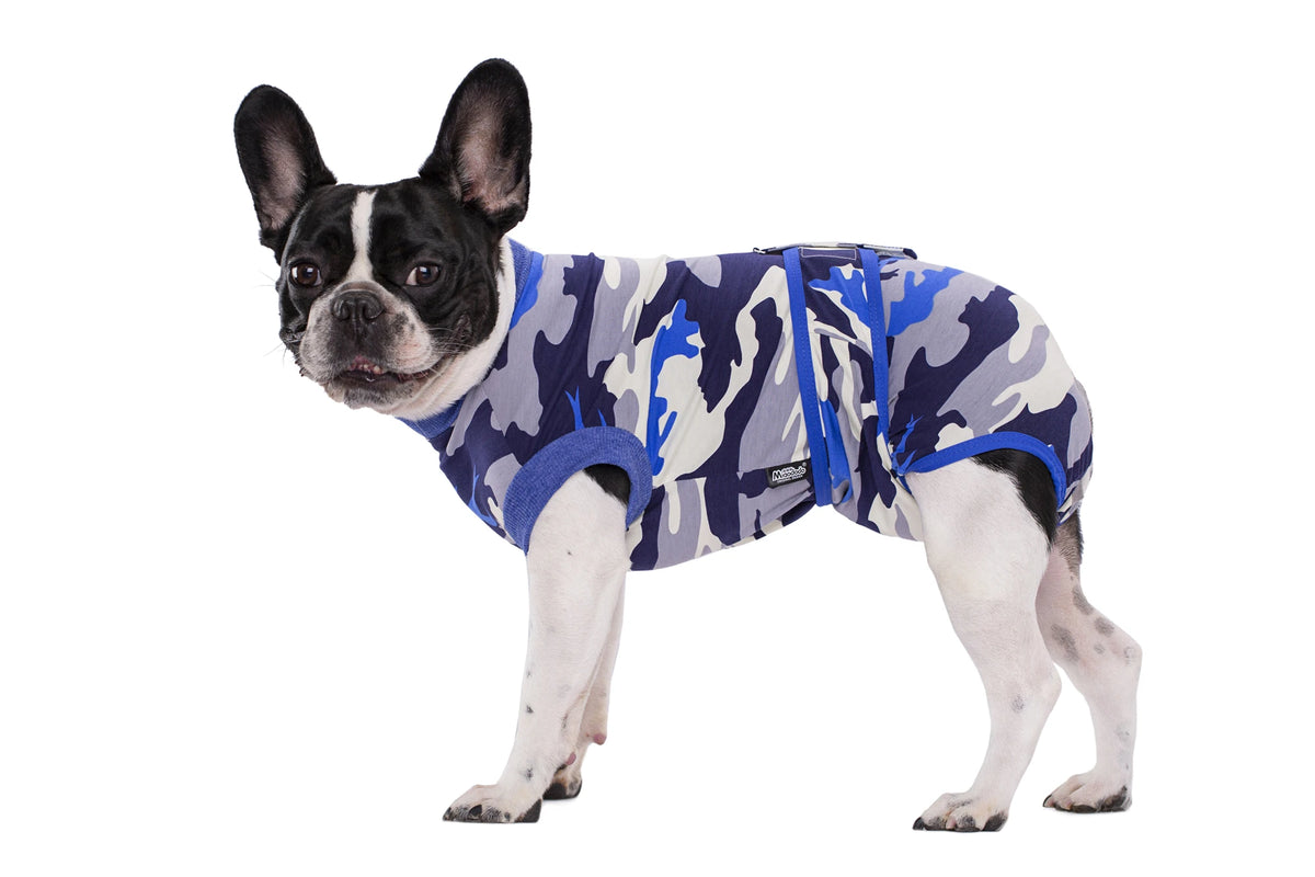 A black and white dog wearing a blue and gray camouflage recovery suit.
