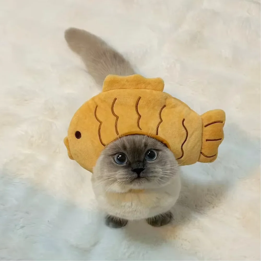 Ein flauschiger grauer Kater trägt eine gelbe, strukturierte Tiermütze.