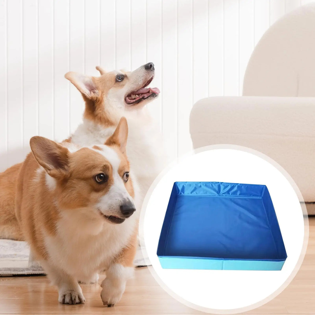 A fluffy dog stands next to a blue foldable pet wading pool with an anti-slip base.