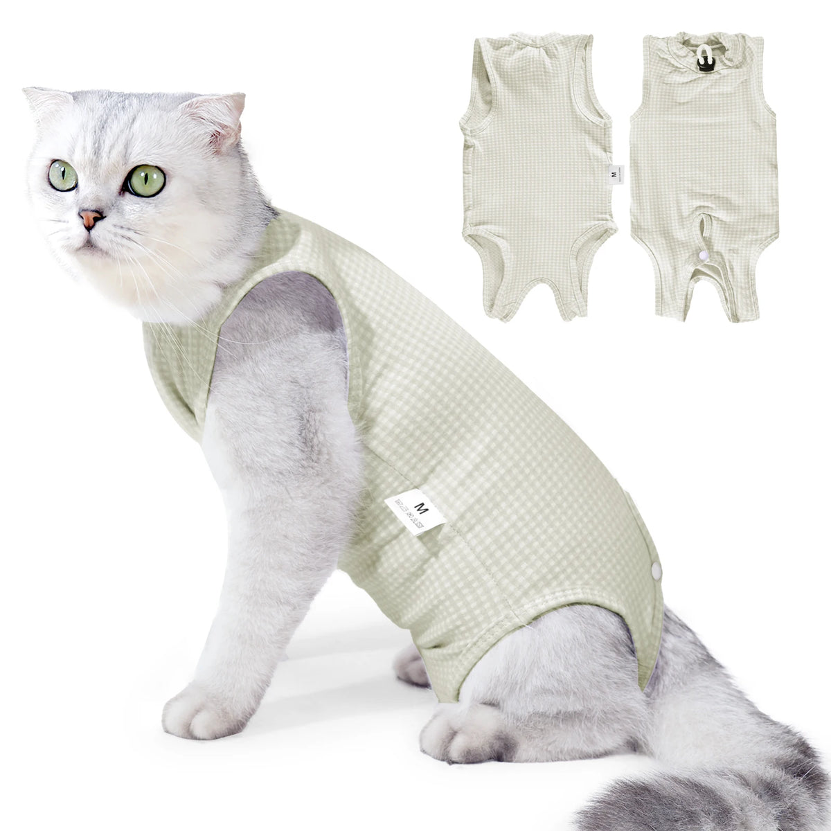 Un chat gris et blanc duveteux portant une tenue de récupération vétérinaire vert clair pour chats.