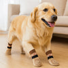 A golden retriever wearing anti-slip knitted dog socks while standing on a wooden floor.