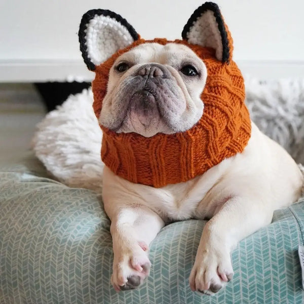 A light-colored dog wearing an orange knitted ear muff with black trim, resting on a green fabric.