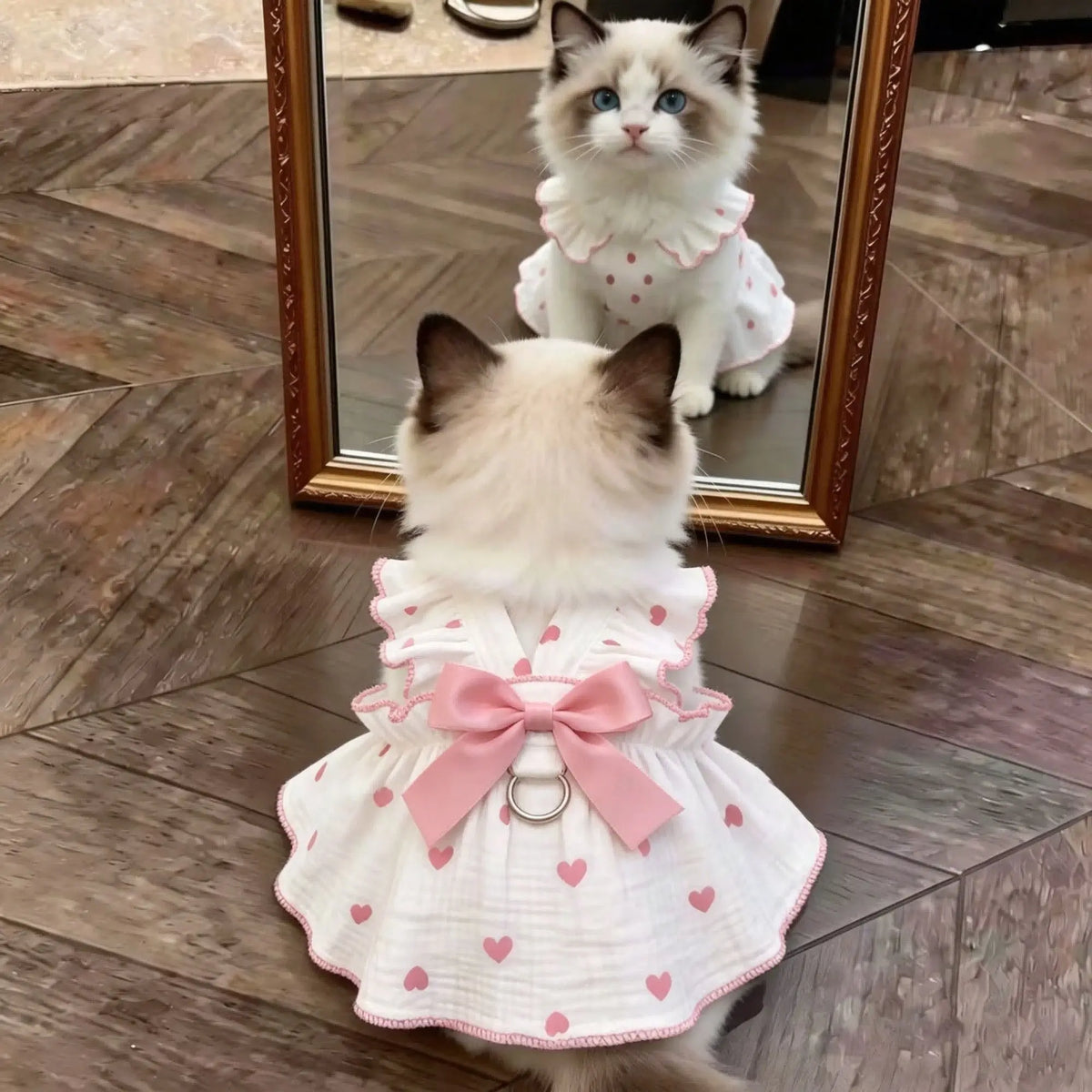 A fluffy white cat wearing a pink summer bow print dress with lace trim, reflected in a mirror.