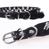 Black leather spiked dog collar with silver buckle closure.
