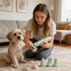 A young woman is using a green rechargeable pet grooming kit on a dog while sitting on a rug.