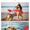 Un chien portant une gilet de sauvetage orange vif court sur une plage, et un autre chien utilise un flotteur rouge similaire
