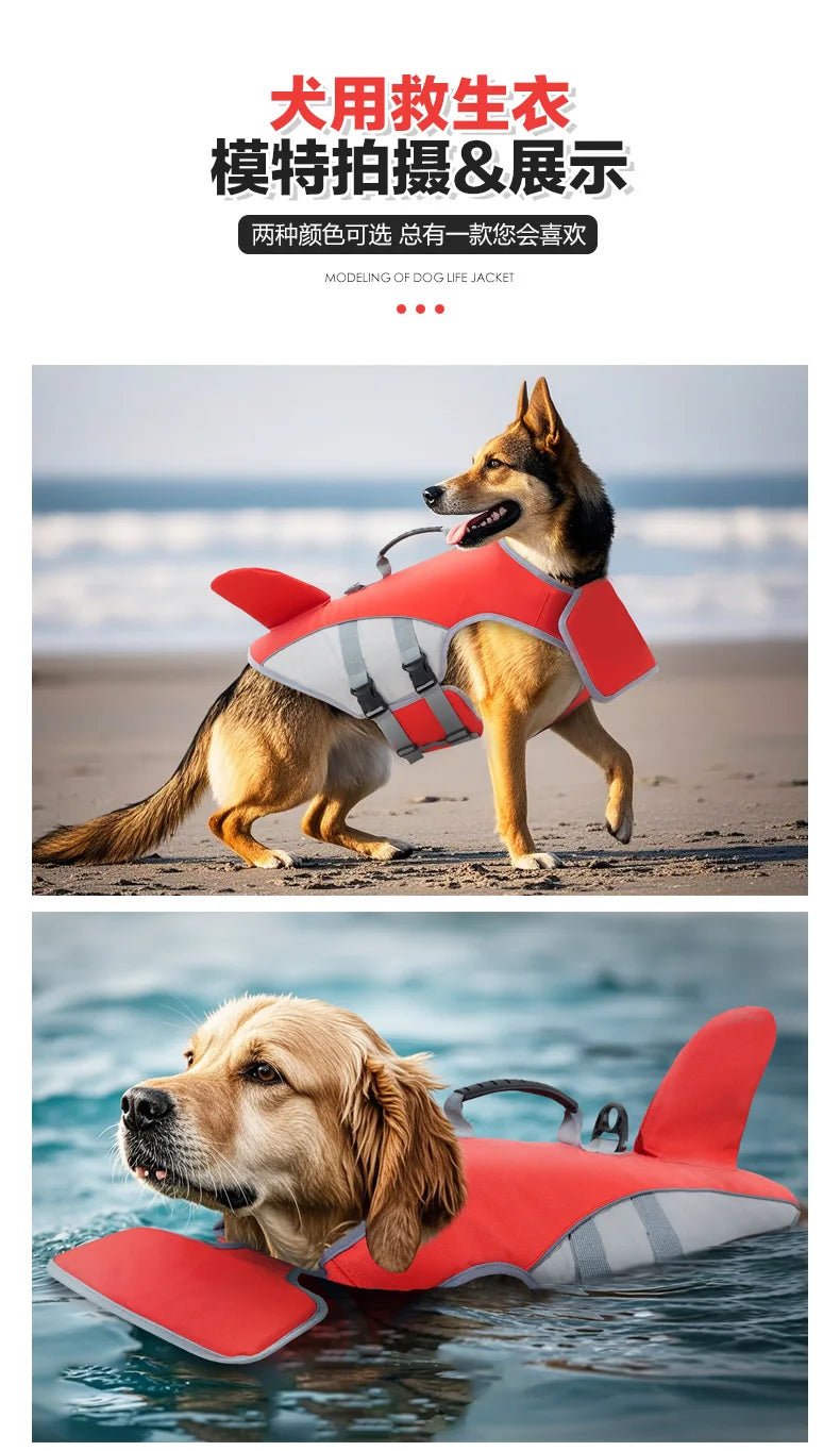 Un chien portant une gilet de sauvetage orange vif court sur une plage, et un autre chien utilise un flotteur rouge similaire