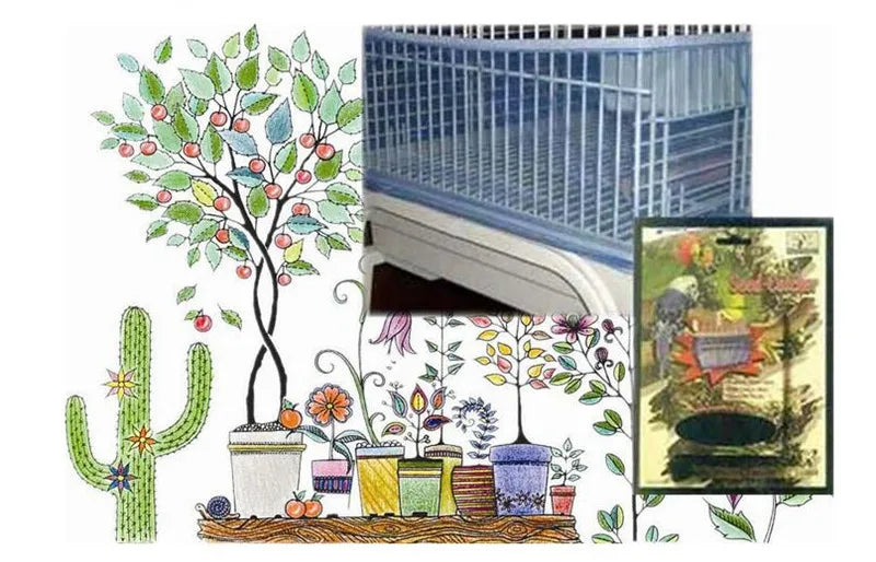 A plant illustration featuring a cactus, various potted plants, and a large metal bird cage structure.