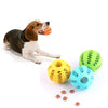 A dog is holding a small orange chew ball while a green and blue rubber ball rests nearby.