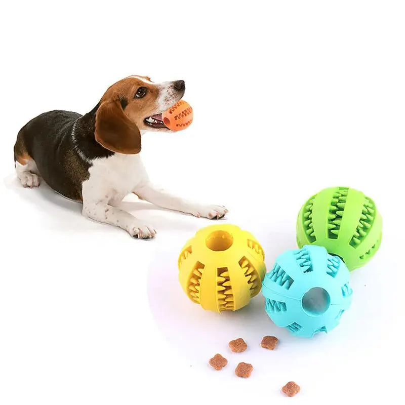 A dog is holding a small orange chew ball while a green and blue rubber ball rests nearby.