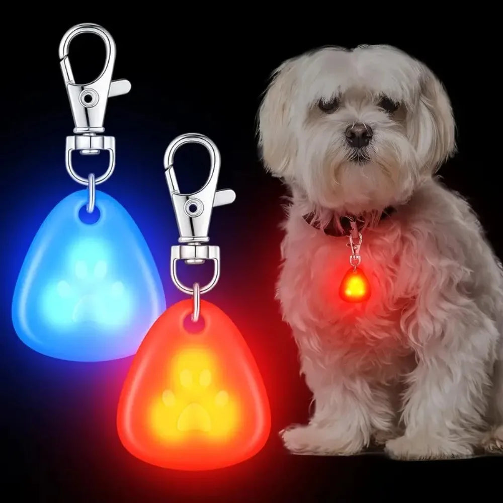 A white dog wearing a collar with an LED light tag, featuring a blue and orange glowing pendant.