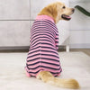 A golden retriever wearing a pink and purple striped jumpsuit lies on a white rug.