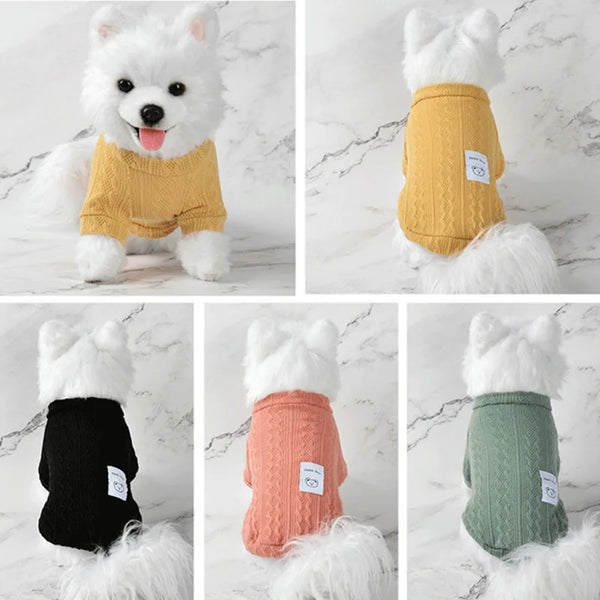 A fluffy white dog wearing a knitted yellow winter sweater.
