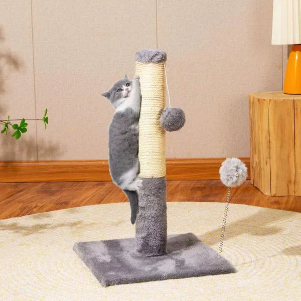 A gray cat is interacting with a minimalist sisal scratching post, which is mounted on a light wooden stand.