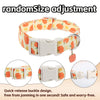 Collar blanco para perro con estampado de Halloween naranja y amarillo, con hebilla de liberación rápida.