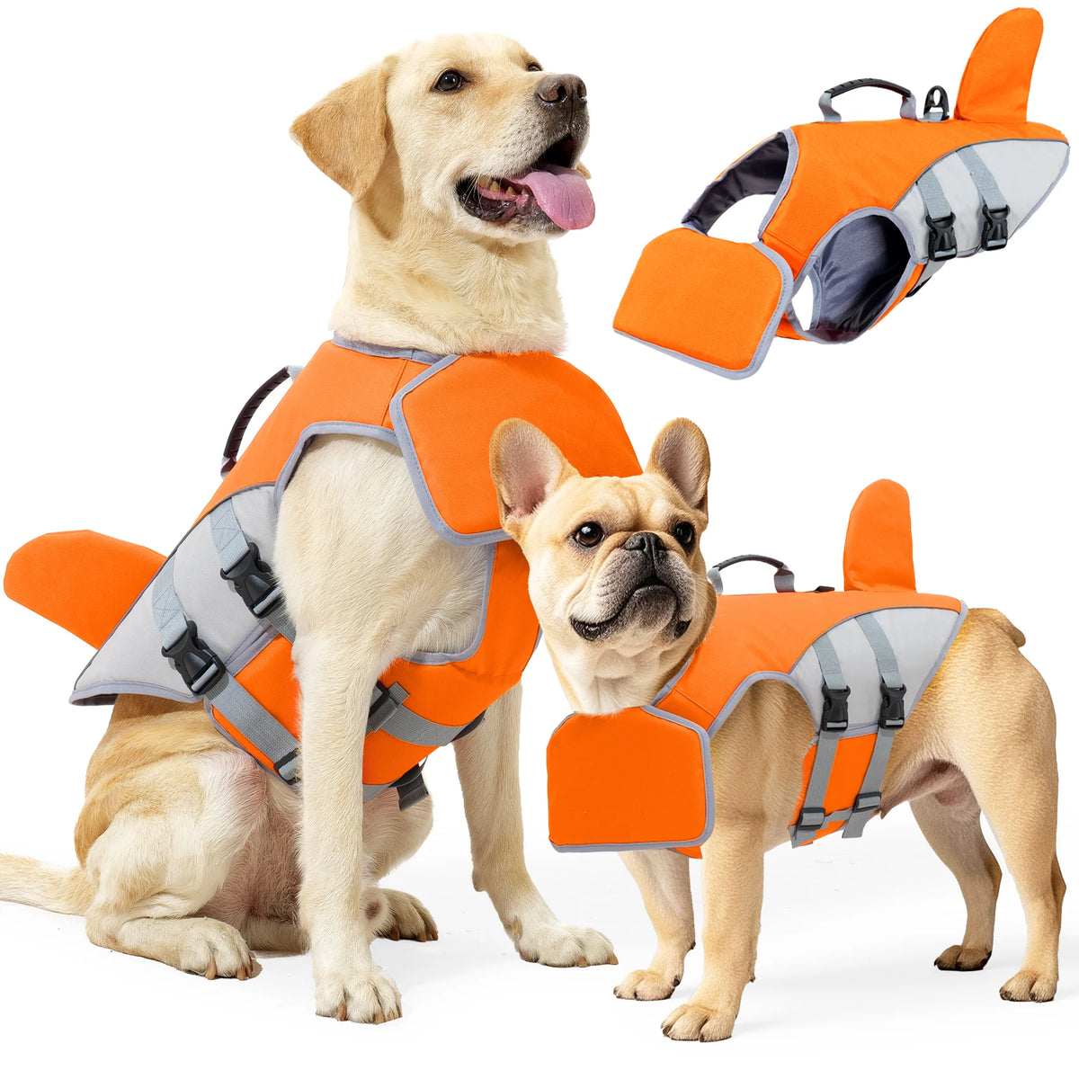 A light-colored dog wearing an orange waterproof life jacket with a reflective design.
