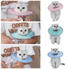 Un chat portant un collier de récupération vétérinaire rose est montré dans divers contextes.