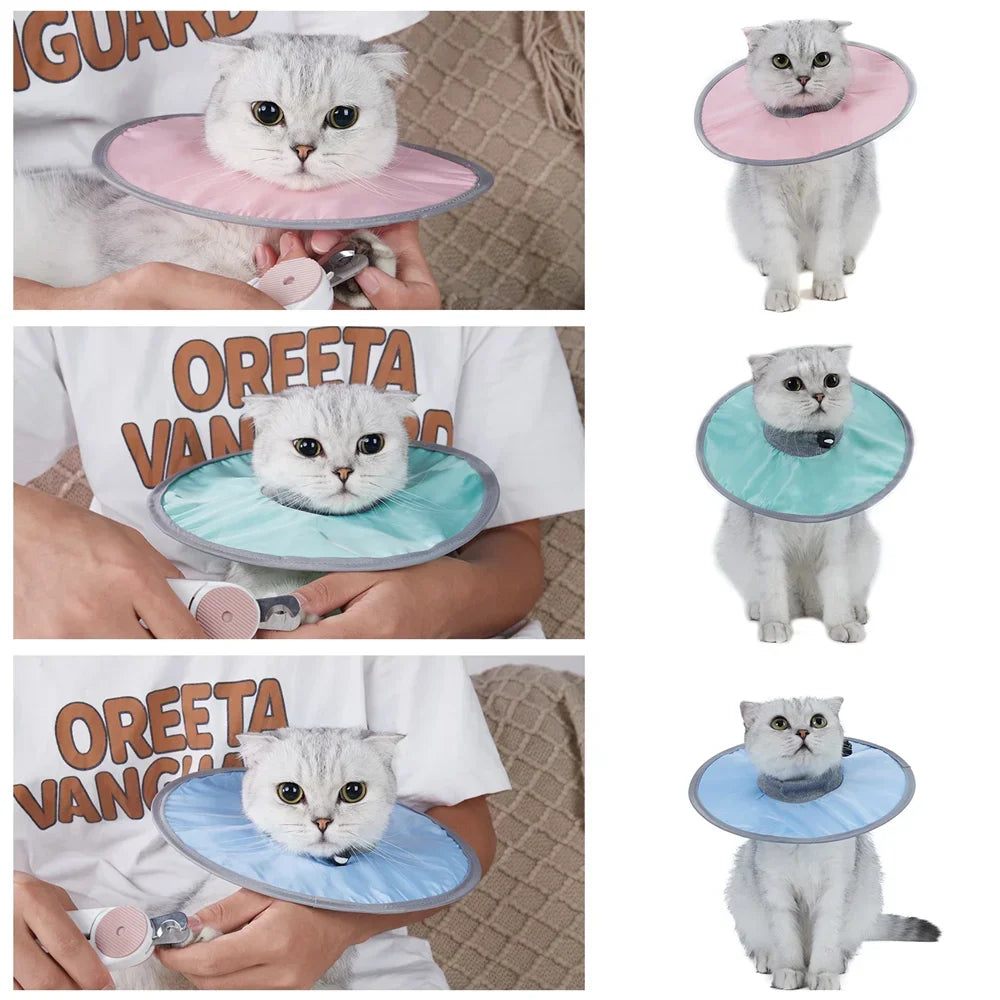 Un chat portant un collier de récupération vétérinaire rose est montré dans divers contextes.