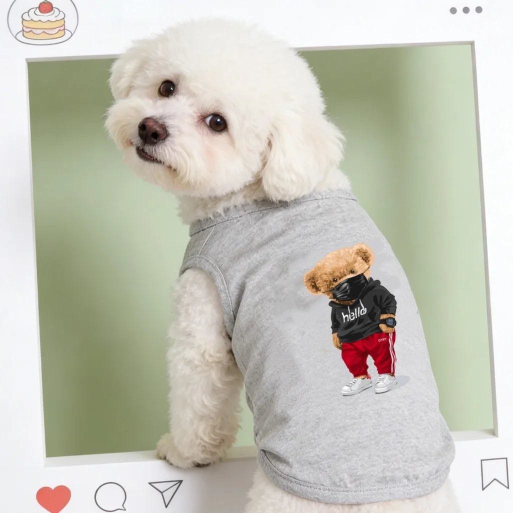 A fluffy white dog wearing a gray printed vest with a brown bear graphic.