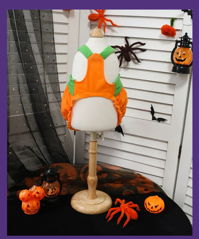 Disfraces de calabaza naranja ajustable para Halloween mostrados en un maniquí blanco junto a calabazas talladas pequeñas.