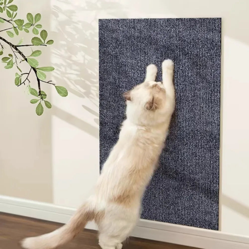 Eine hellfarbige Katze klettert oder lehnt an einem dunkelblauen strukturierten Kratzfest-Katzenteppich.