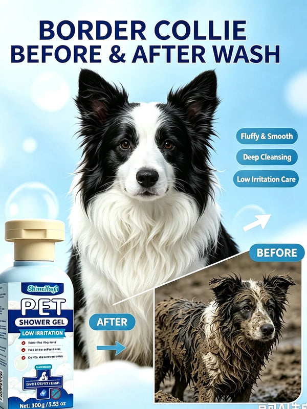 Border Collie before and after wash comparison showing fluffy, smooth fur and deep cleaning results.