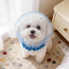 Un perro blanco con un collar de malla azul claro con adornos de estrella y luna creciente.