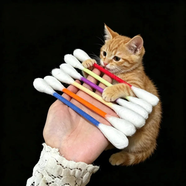 A small orange kitten is holding a bundle of various colored cotton swabs, which are likely catnip toys.