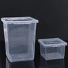 Clear plastic reptile habitat box with ventilation holes and a lid
