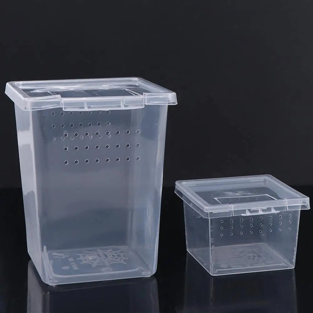 Clear plastic reptile habitat box with ventilation holes and a lid