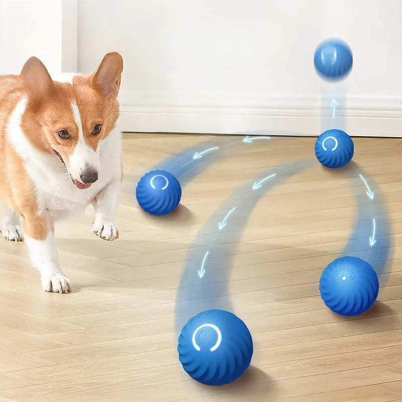 Ein Hund interagiert mit einem automatischen Springspielzeug, das blaue Bälle über einen Holzboden schleudert.