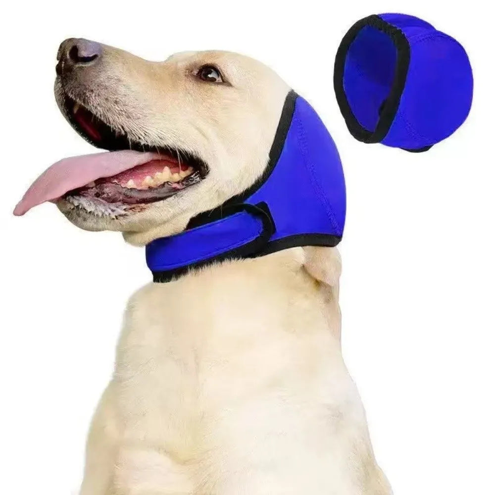 A light-colored dog wearing a royal blue calming noise reduction earmuff on its head.