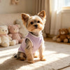 A small, fluffy terrier dog wearing a light purple breathable summer pet vest, sitting on a cream rug.