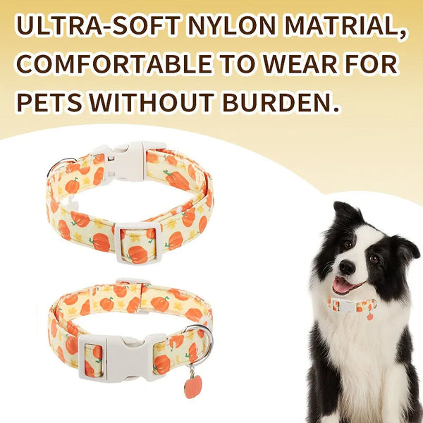 An orange and white Halloween print nylon collar for a dog, shown next to a fluffy dog.