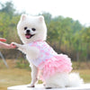 Un perro blanco vistiendo un vestido de chifón de encaje rosa al aire libre.