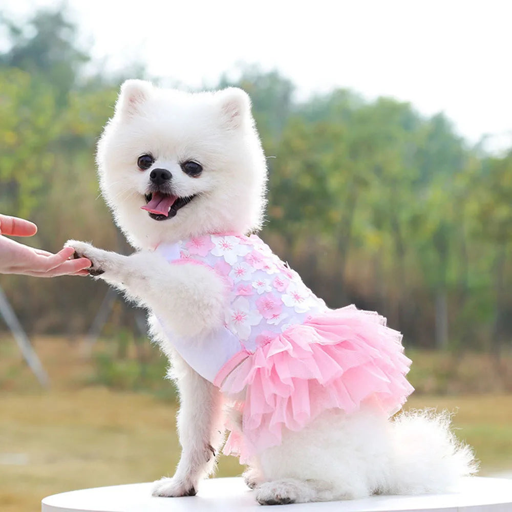 Un perro blanco vistiendo un vestido de chifón de encaje rosa al aire libre.