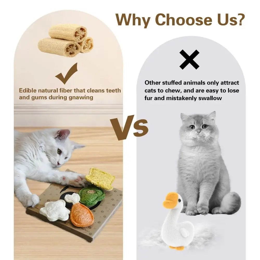 Comparison showing edible natural fiber cat chew toys versus other stuffed animals.