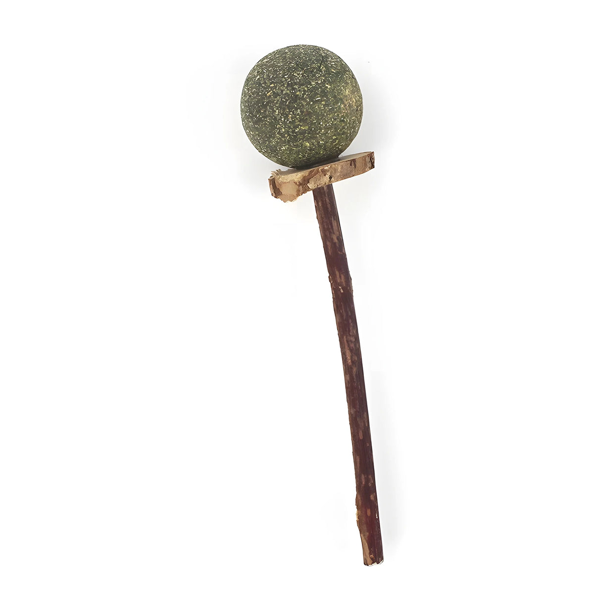 A natural silvervine cat chew stick, a spherical, greenish-gray stick attached to a wooden handle.