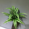 An artificial tropical palm plant with variegated green and white leaves displayed against a gray wall.