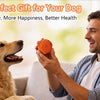 A man is giving an orange pet ball to a golden retriever, promoting play and health for dogs.