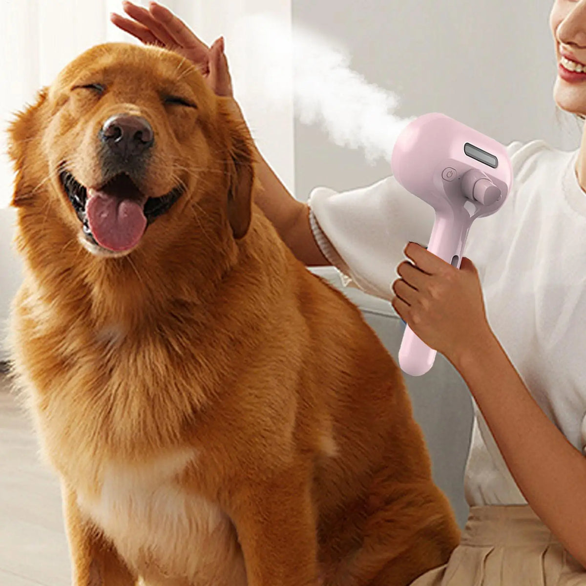 Eine Person benutzt eine rosa elektrische Tierhaarbürste und Styler auf einem Golden Retriever.