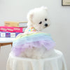 A fluffy white dog wearing an elegant birthday suit made of colorful tulle fabric.